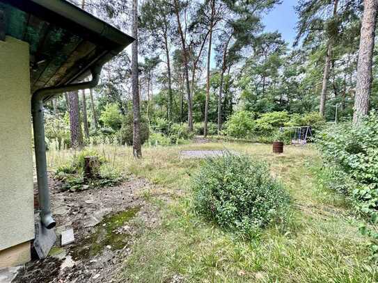 Baugrundstück am Waldrand nahe Berlin