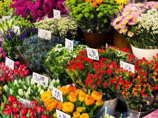 Provisionsfreie Leerfläche z.B. für einen Blumenladen in auffälligem Gebäude in TOP-Lage Köpenicks