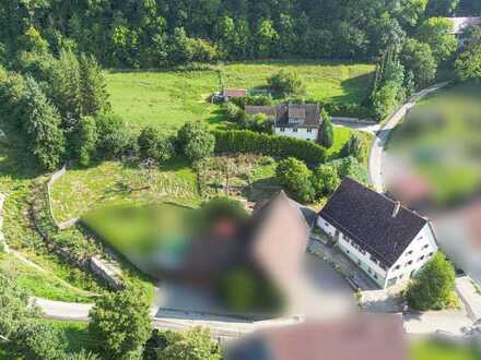 Historisches Bauernhaus... liebevoll und fachgerecht saniert, großes Grundstück