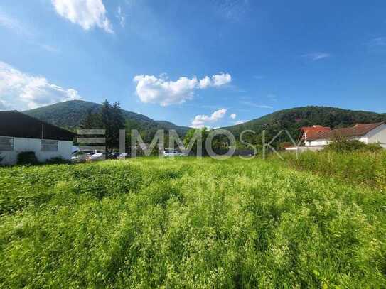 ** Mit Blick zur Burg Limburg und Zugang direkt zur Isenach **