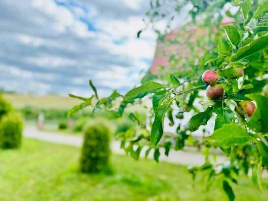 RESERVIERT | Idyllisches Einfamilienhaus am Rande des unteren Odertals