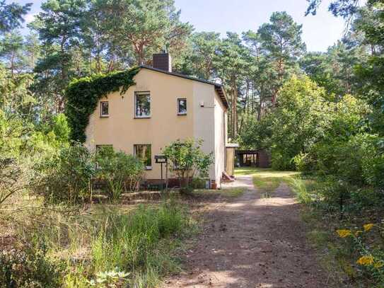 Dein Haus zum Ausbauen – mitten auf einem großen Waldgrundstück. Bezugsfrei, provisionsfrei