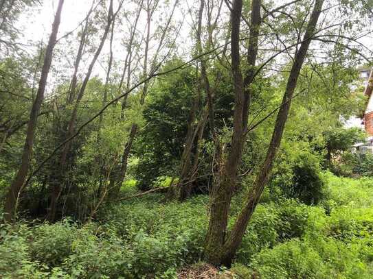 Großes Baugrundstück in ruhiger Lage im Wohngebiet