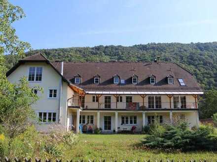 Helle 5-Zimmerwohnung mit Terrasse, großem Garten und Donaublick