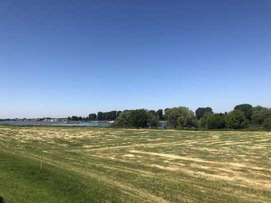 Eigenheim in erster Rheinlage!