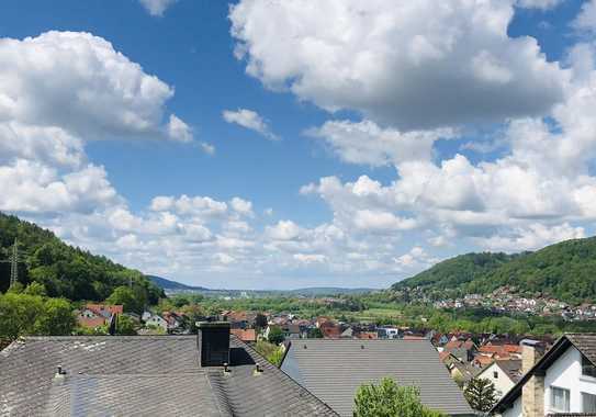 Über den Dächern von Höchst - Skyline-Blick bis nach Frankfurt am Main