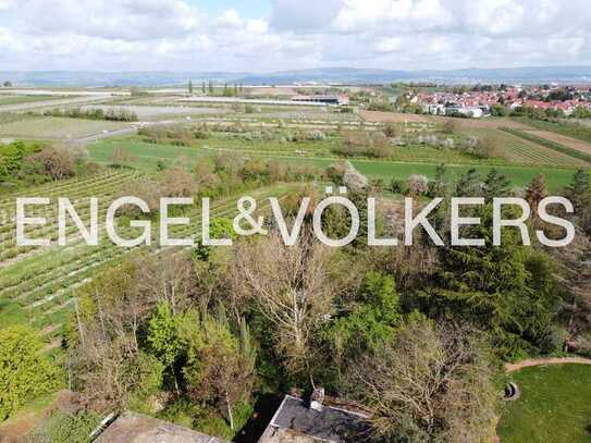 Exklusives Baugrundstück mit fantastischem Blick zum Taunus in Mainz Lerchenberg