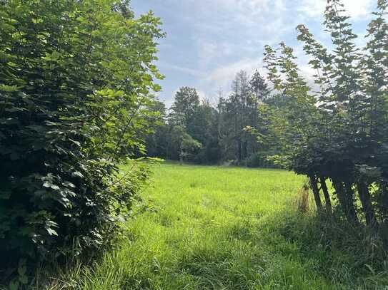 KARSTEN IMMOBILIEN ermöglicht Ihnen: traumhaftes Baugrundstück in Münchehagen / Rehburg-Loccum