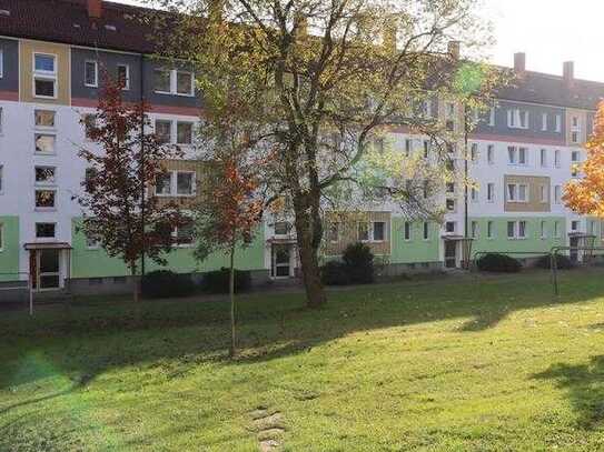 Kleines herbstliches Intermezzo *Schön wohnen im Flemminggebiet