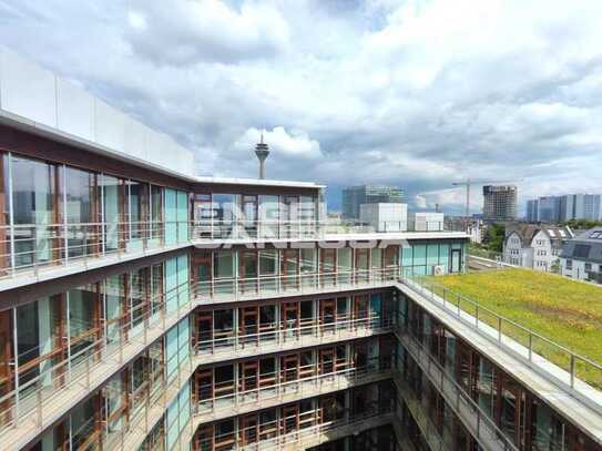 Exklusive Büroflächen mit Terrasse im Medienhafen !!! prov-frei !!!