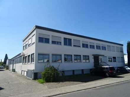 610 m² Lagerhalle + 371 m² Bürofläche in Dietzenbach zu vermieten