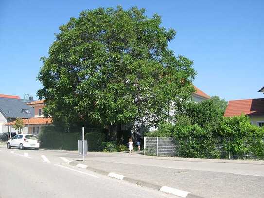 Ihr neues Zuhause in Lachen-Speyerdorf: Erdgeschosswohnung mit Komfort