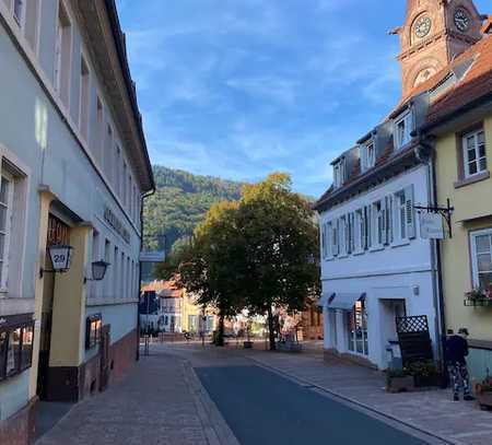 Renovierte 2-Zimmer-EG-Wohnung in Neckargemünd Altstadt