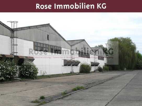 ROSE IMMOBILIEN KG: Lagerhalle zu verkaufen!