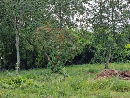 PROVISIONSFREI! BAUPLATZ FÜR EIN EFH IN DER GRÜNEN OASE MITTEN IN BERLIN