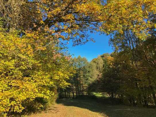 - Gönnersdorf - 
Waldgrundstück