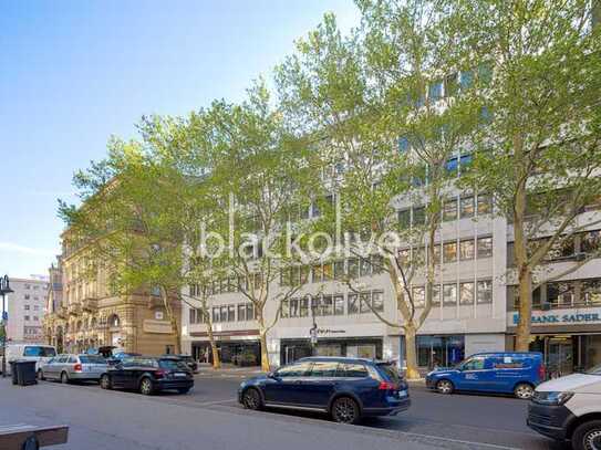 City | 377 m² | EUR 24,50