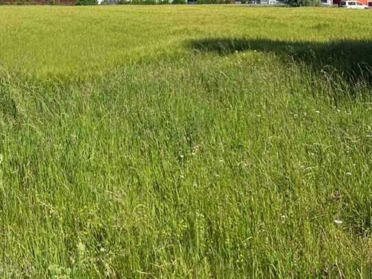 Baugrundstück in Schmiechen