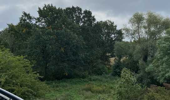 Komfortwohnung mit Balkon, EBK, Aufzug-Barrierefrei