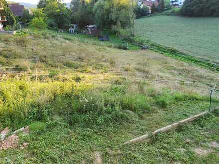 Grundstück in ruhiger Lage mit viel Potential & unschlagbarem Ausblick - EFH oder auch MFH
