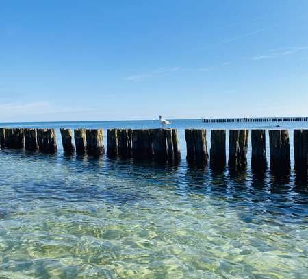 Erstbezug nach Sanierung schöne 3-Zimmer-Wohnung nahe Ostsee