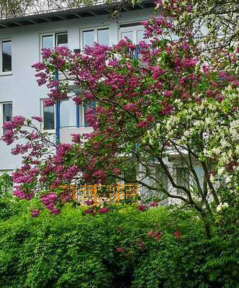 Gepflegte 2-Zimmer Wohnung mit großer (Wohn-) Küche und Terrasse in Dresden, Waldschlösschenareal