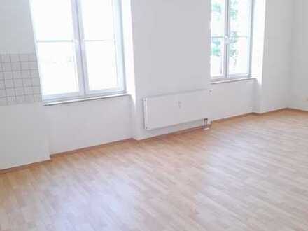 Helle große 2 Raum-Wohnung mit Terrasse und separaten Eingang und Gartenanteil