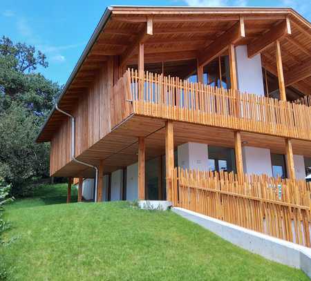 NEUBAU Erstbezug 2 Zimmer Penthouse - Wohnung mit Süd-Balkon in Architektenhaus.