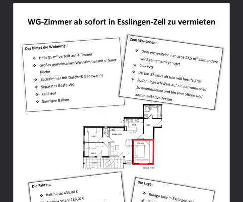 Suche sympathischen WG-Partner/in in Esslingen Zell!