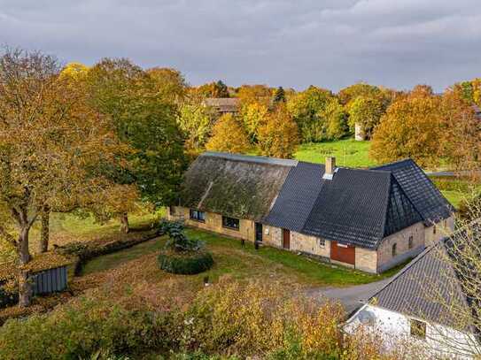 Pferdeliebhaber & Handwerker aufgepasst- ein kleines idyllisches Bauernhaus unter Reet mit Stall ink