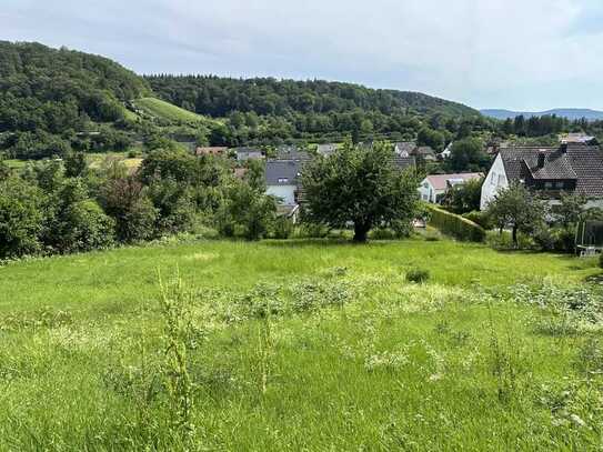 BAUPLATZ IN SÜDHANGLAGE