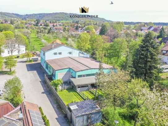 *JETZT PROVISIONSFREI*
Variabel nutzbare Gewerbehalle plus 
große Wohnung mit Sonnen-Terrasse...