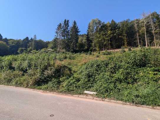 Hang-Grundstück in ruhiger Lage mit tollem Blick in die Natur!