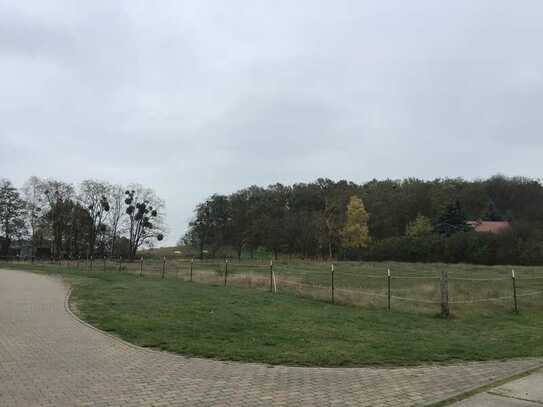 Baugrundstück in der Gemeinde Gollenberg - Ortslage Schönholz - zu verkaufen