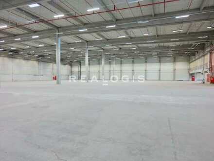 Moosbach, ca. 3.000 m² moderne Neubau Lager- und Industriehalle zu vermieten