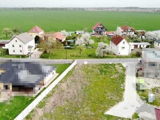 Wir geben einen Grund für Ihr neues ScanHaus!