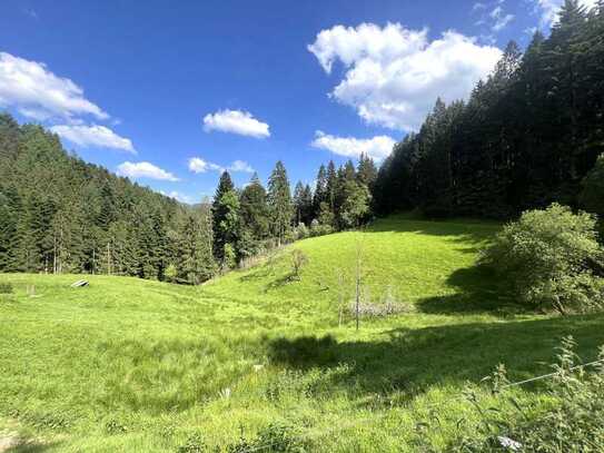 Attraktives Hofgut mit 2 großen Wohn- und Ökonomiegebäuden in traumhafter, sonniger Panorama A