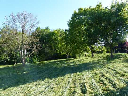 grosses Baugrundstück am Schlosspark