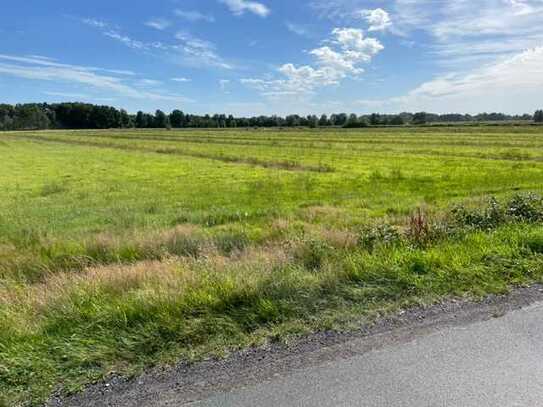 Landwirtschaftliche Fläche/Grünland Wingst/Feldmark