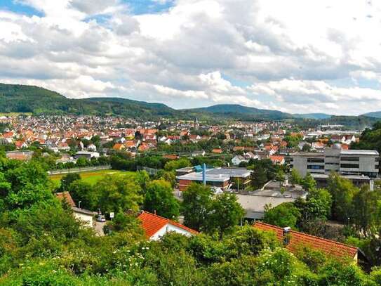 SÜDHANGLAGE TERRASSENWOHNUNG MIT ATEMBERAUBENDER PANORAMA AUSSICHT!