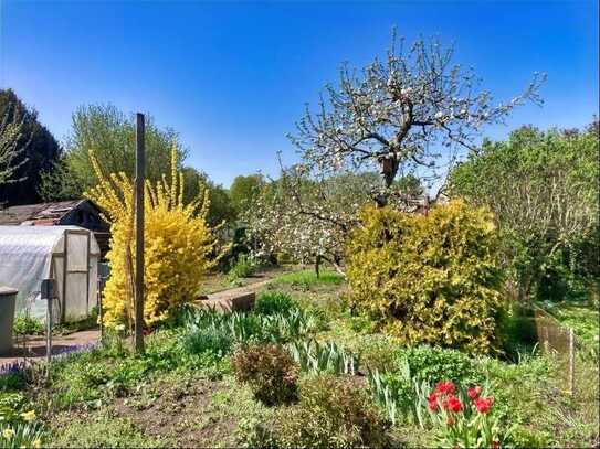 Garten in Seenähe zu verkaufen