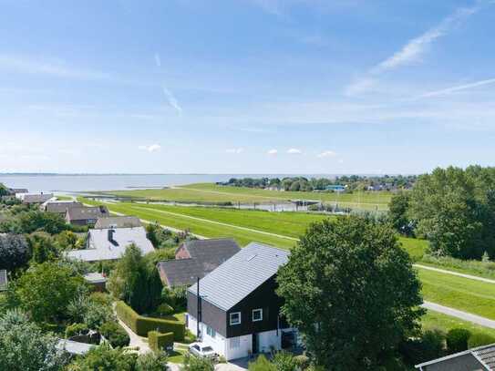 Elbe in Sicht | Zwei in Einem | Am Elbdeich