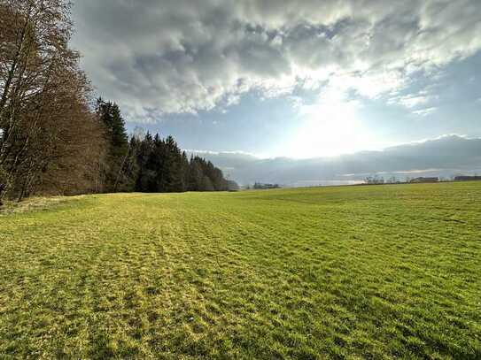 ca. 2 ha Wiese & Mischwald mit Bachlauf bei Fürstenzell