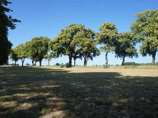 Gartenanlagen zu Verkaufen