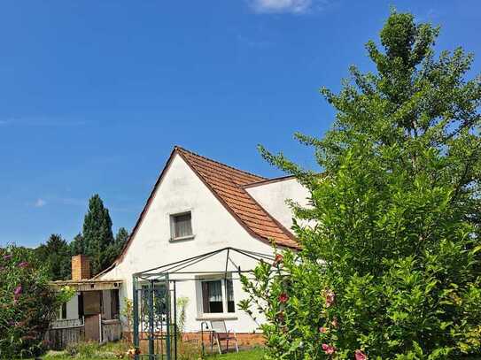 Handwerkerhaus mit sehr großer Doppelgarage und Nebenräumen