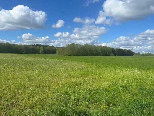 Ackerland und Grünland in Lindern zu verkaufen