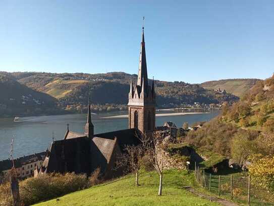 Traum-Baugrundstück mit Rheinblick in den Weinbergen mit Projektplanung und Baugenehmigung!