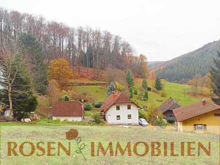 Baugrundstück in Gammelsbach