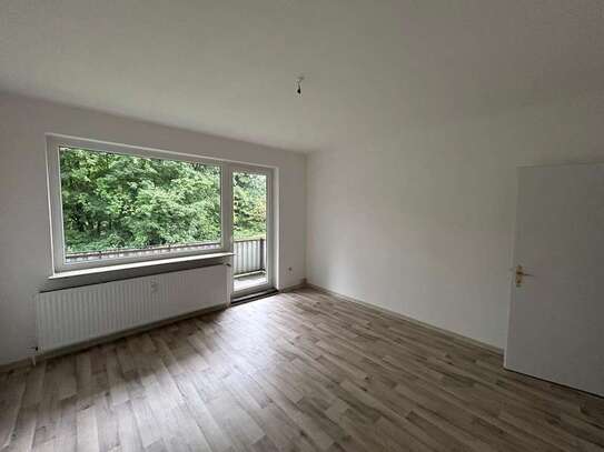 renovierte 3 Zimmer Wohnung mit Badezimmer, Küche, Flur, Balkon und Kellerraum