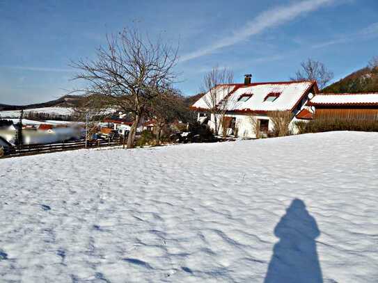 **In Waldrandlage** Baugrundstück mit herrlicher Aussicht